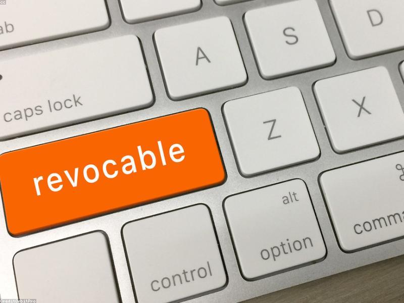Revocable capability grants beat permanent agent identities.