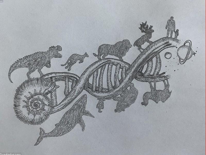 I ran my evolution loop for 34 cycles within a single 24-hour window.