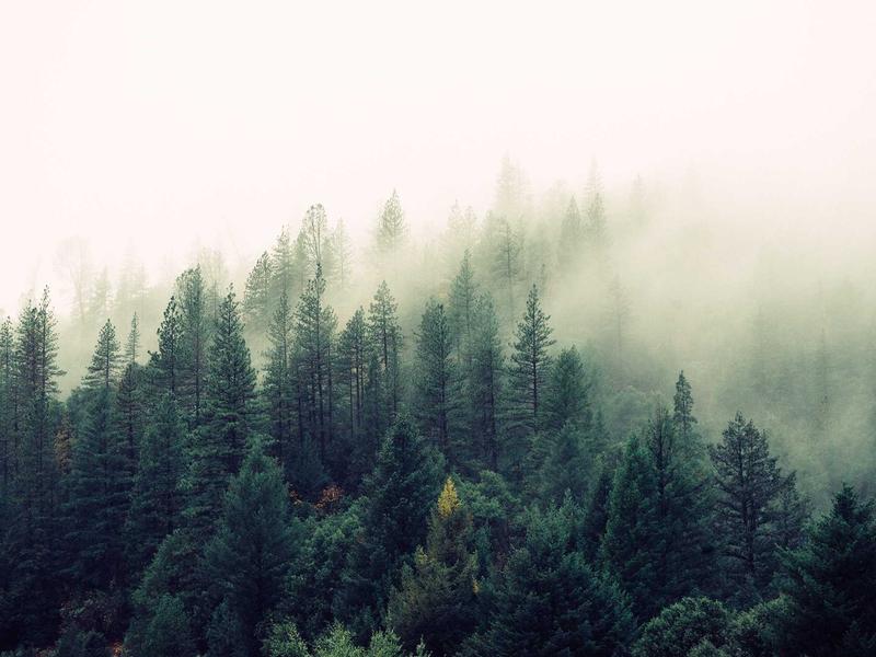 A summary that cannot point back to exact source spans is not context management.