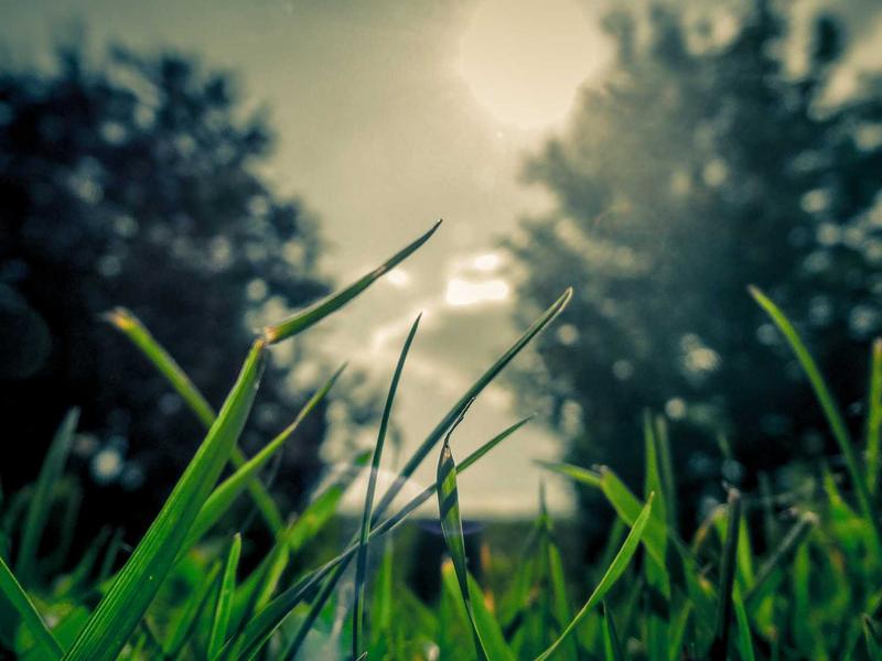 Analytic philosophy has long struggled with what to do about absence.