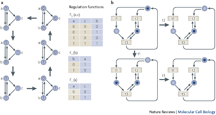 A tiny example can make every state transition or inference inspectable.