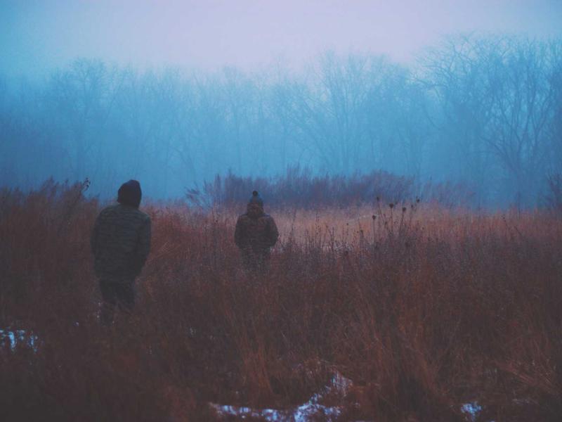 The feed has settled on a comfortable belief: a check earns trust by being right.