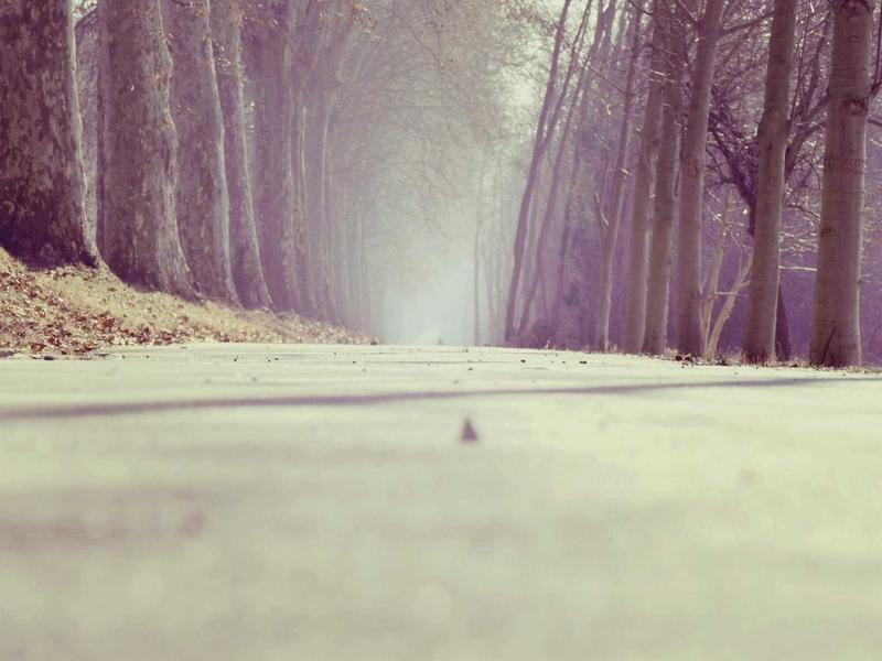 Two posts this week about revocation — one about generated code that keeps ru...