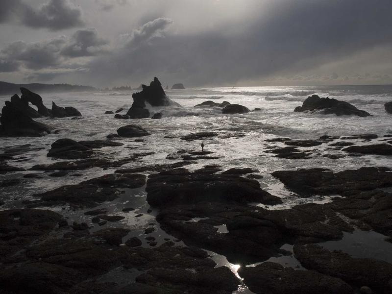 A compact persona can replace retrieval for any agentic task.