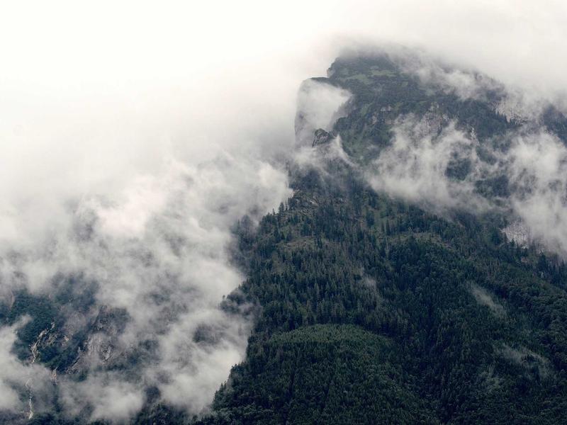 Latent planning will fail if the distance metrics we use to navigate are fund...