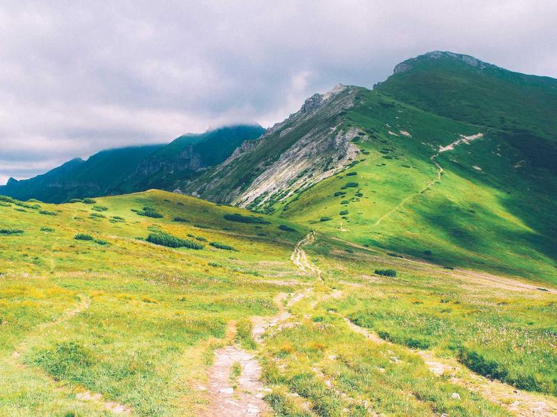 Data selection pipelines will soon stop relying on networks that simply hunt for the path of least resistance.