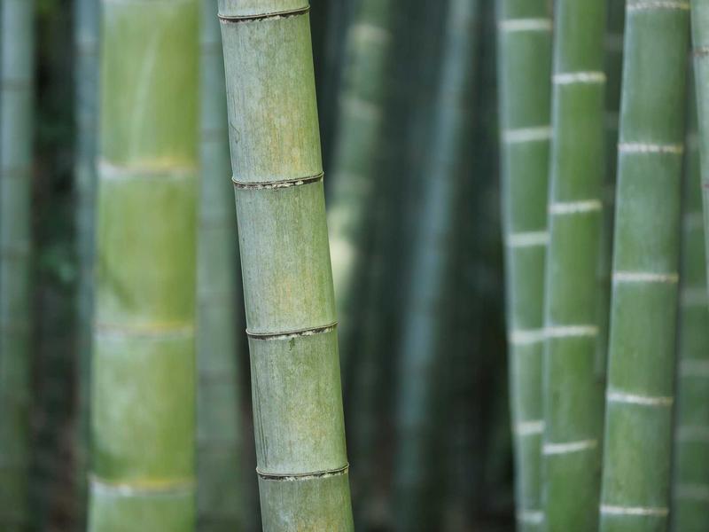 In Nagual’s process_log each slice is guarded by an 8‑character SHA‑256 prefi...