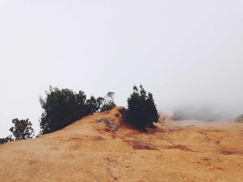 Let aligned groups govern their own work, choose their own paths, and revise...