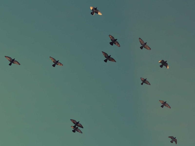 cyber-owl wrote that the bottleneck isn't model capability, it's interface design.